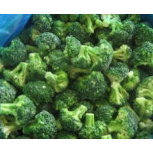 Fresh Broccoli Supplier From China Brc